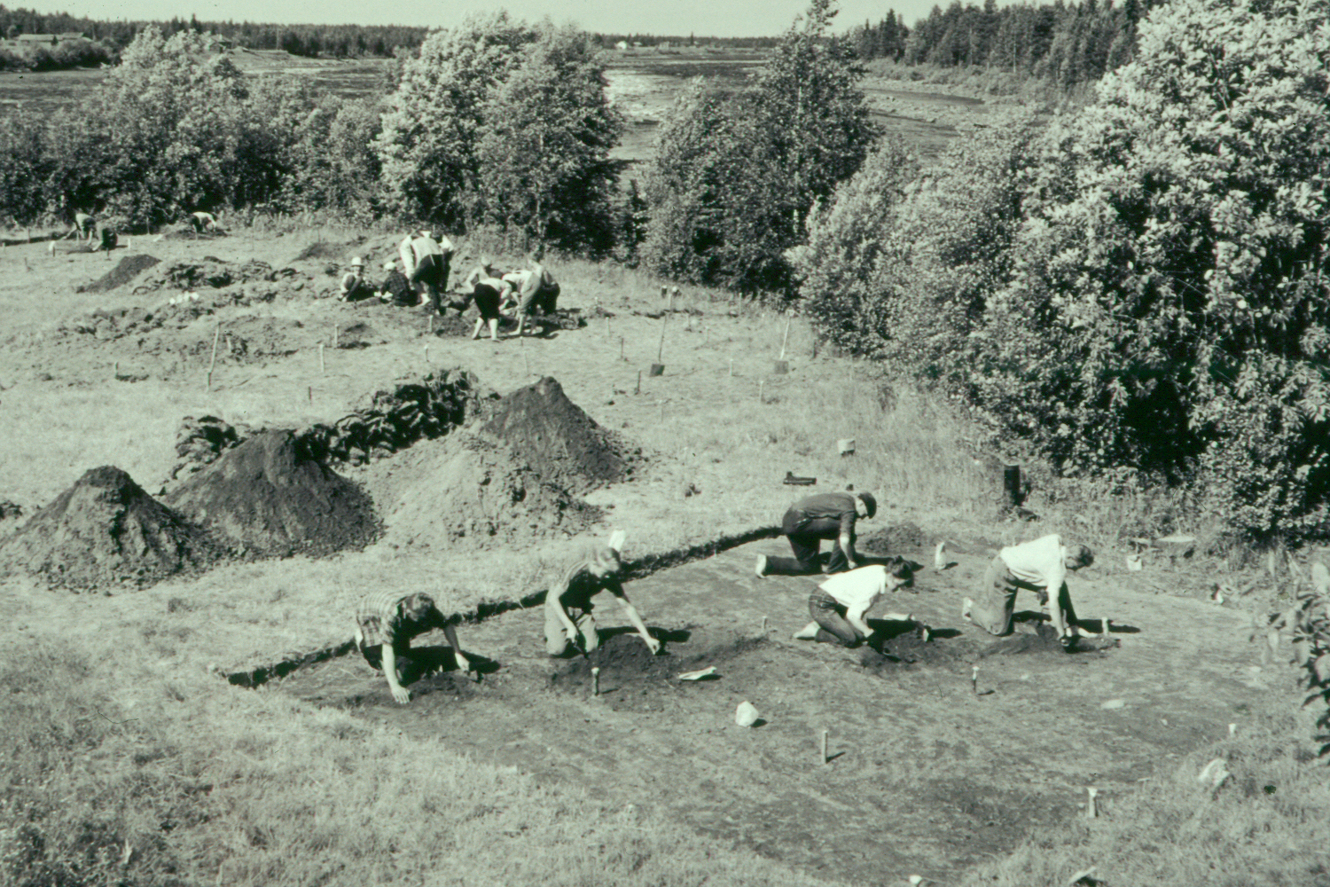 Henkilöitä kenttätöissä arkeologisilla kaivauksilla.