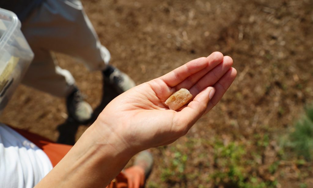 Archaeological excavations. Close-up. Excavation find (quartz) in hand.