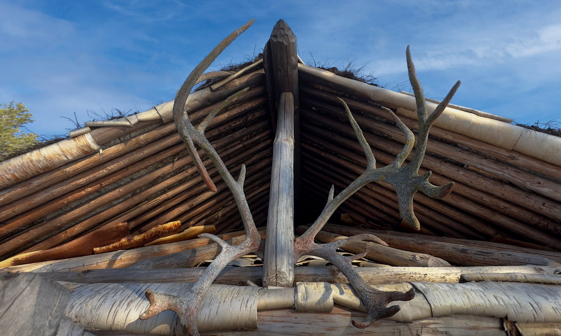Close-up of red deer antlers hung above the entrance to a Stone Age dwelling.