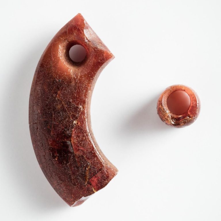 Fragment of an amber hoop and an amber bead.