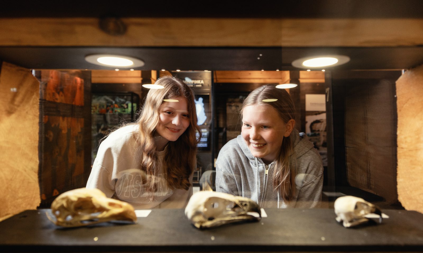 Kaksi tyttöä katselevat vitriinissä olevia eläinten kalloja Muinaiskeskuksen näyttelyssä.