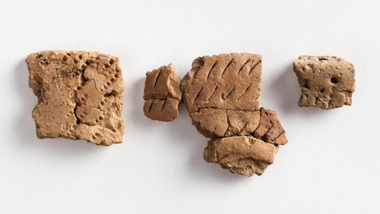 Fragments of a ceramic vessel with decorations made with both nail and comb.